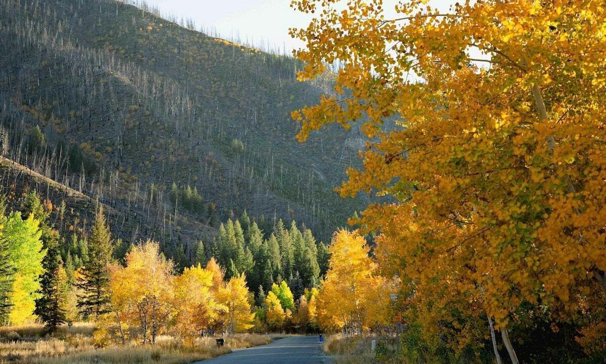 Photo of Others in Board Ranch
