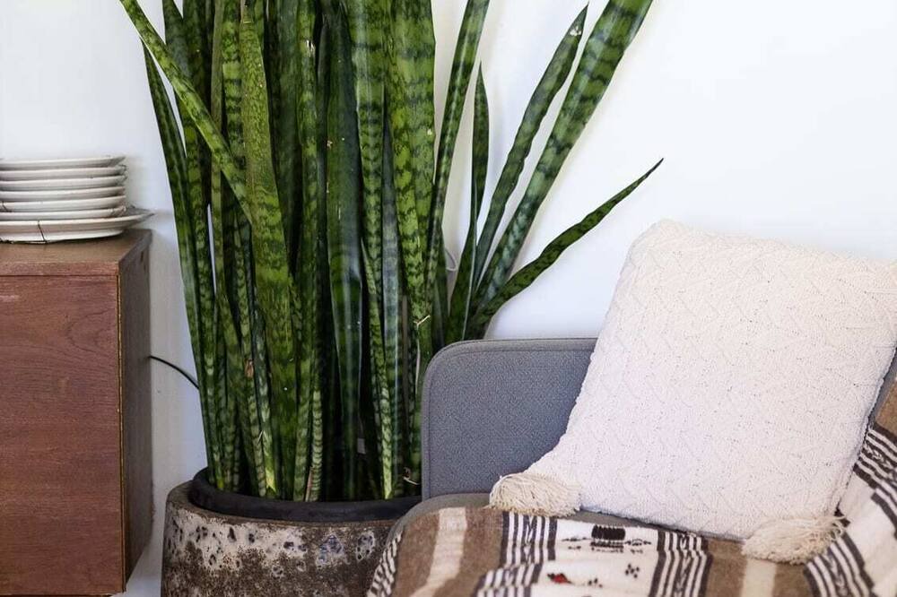 Photo of Others in Wooyung