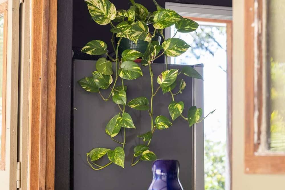 Photo of Others in Wooyung