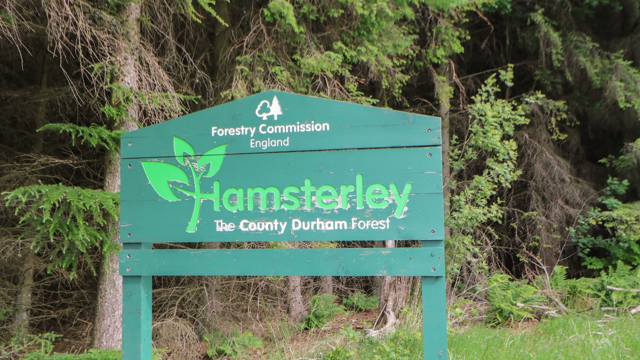 Photo of Others in Staindrop