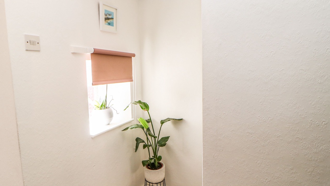 Photo of Others in Staindrop