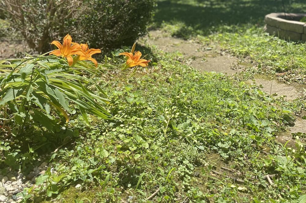 Photo of Outdoor in Madison