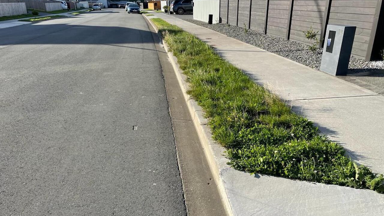 Photo of Others in Tawa