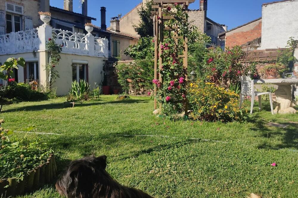Photo of Outdoor in Moissac
