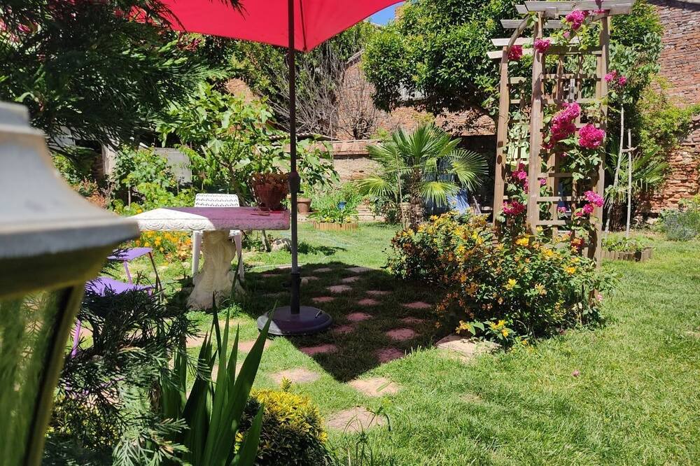 Photo of Outdoor in Moissac