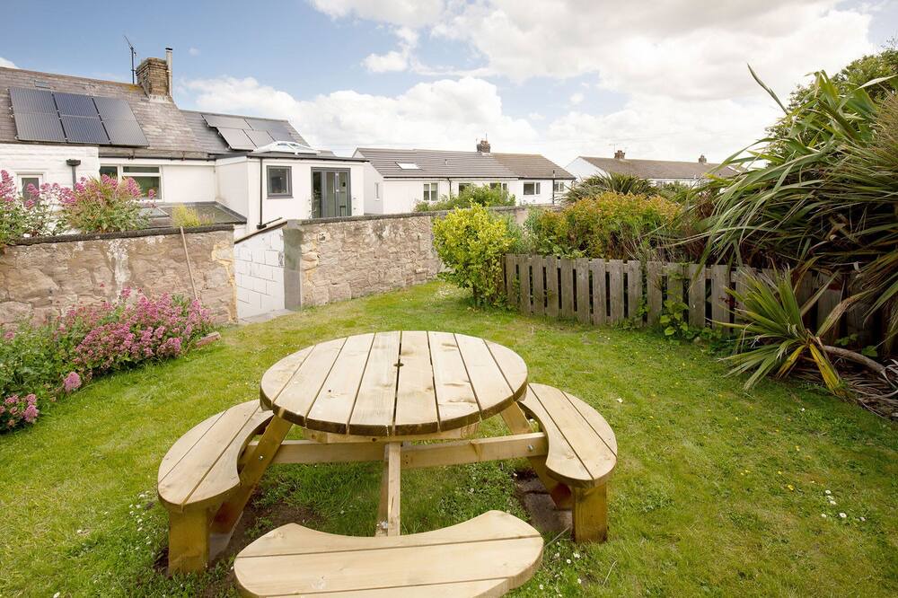 Photo of Others in Craster