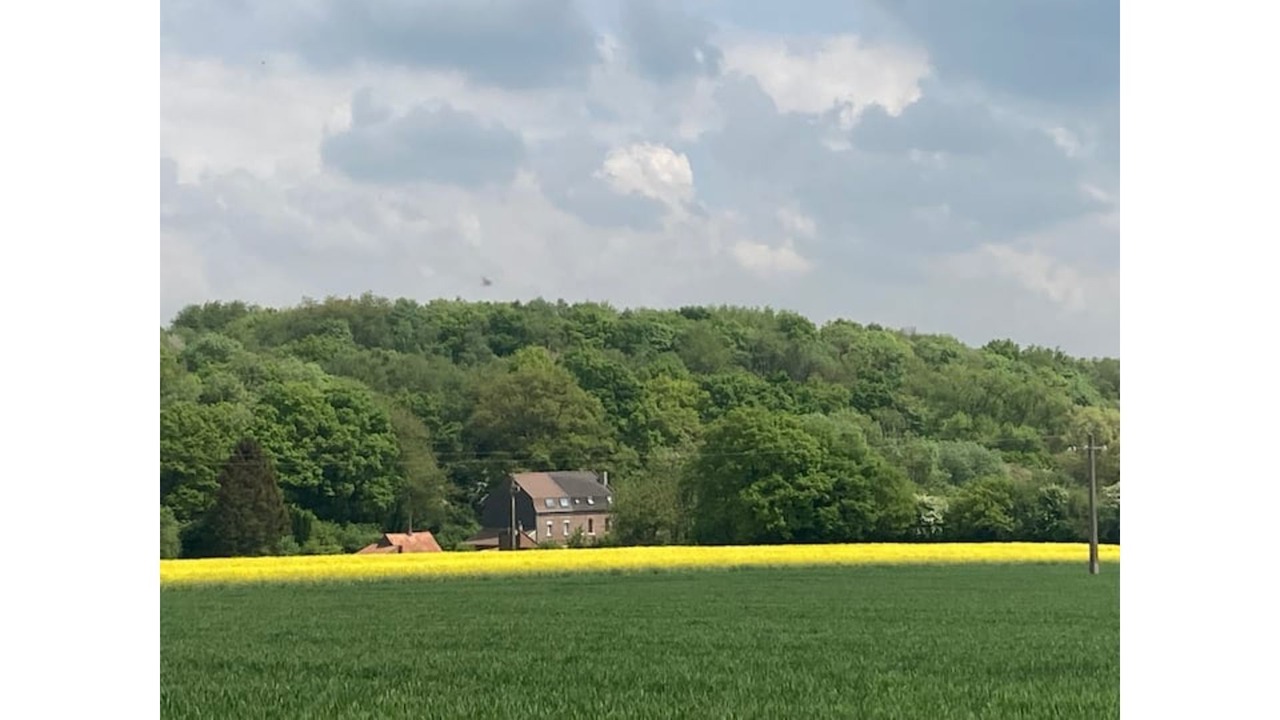 Photo of Others in La Comte