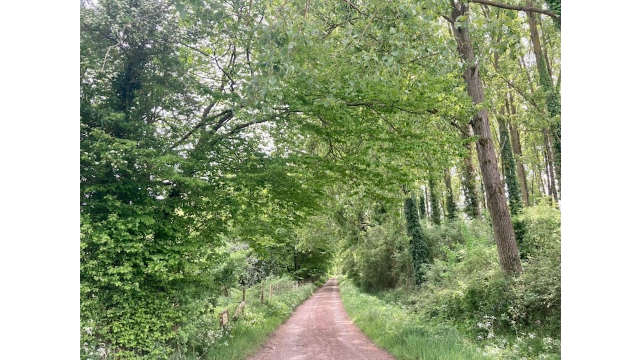 Photo of Outdoor in La Comte