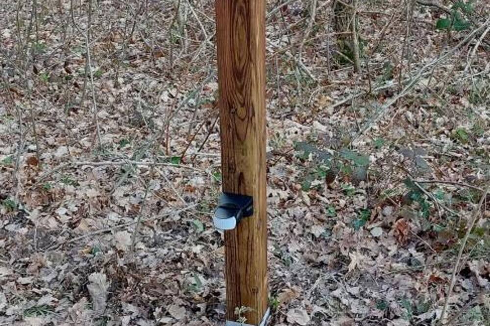 Photo of Others in Crouy-sur-Cosson