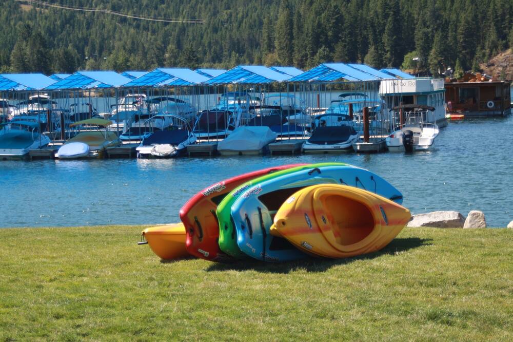 Photo of Others in Dover Bay