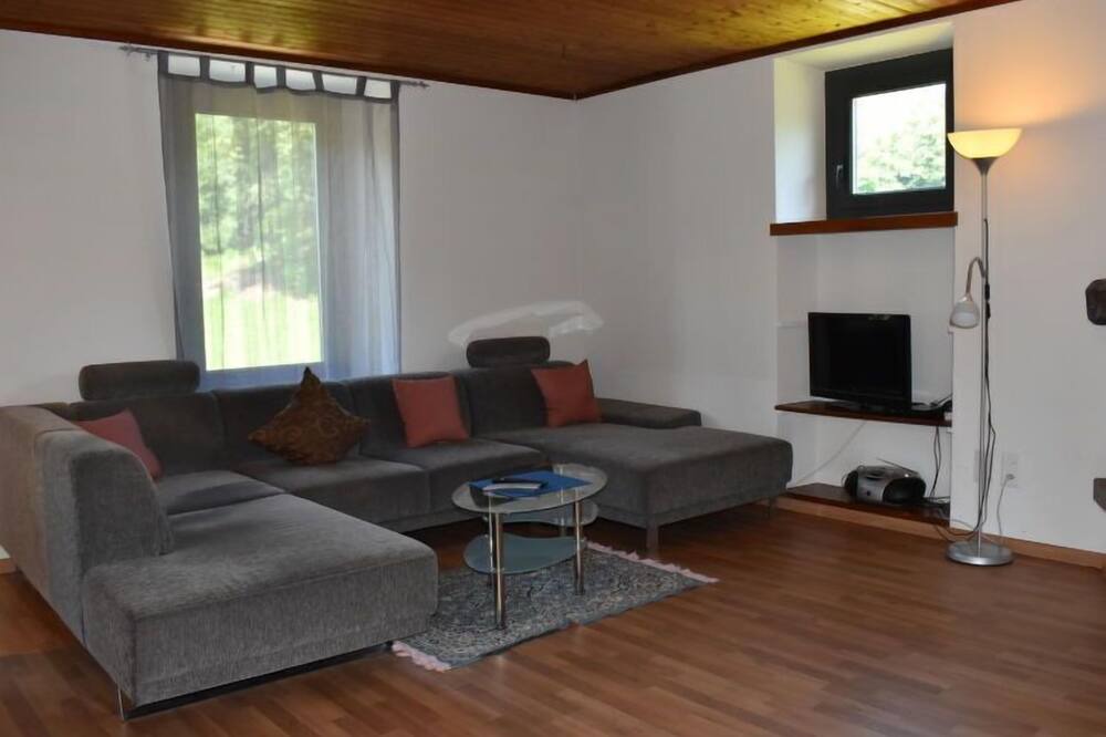 Photo of Livingroom in Monteggio