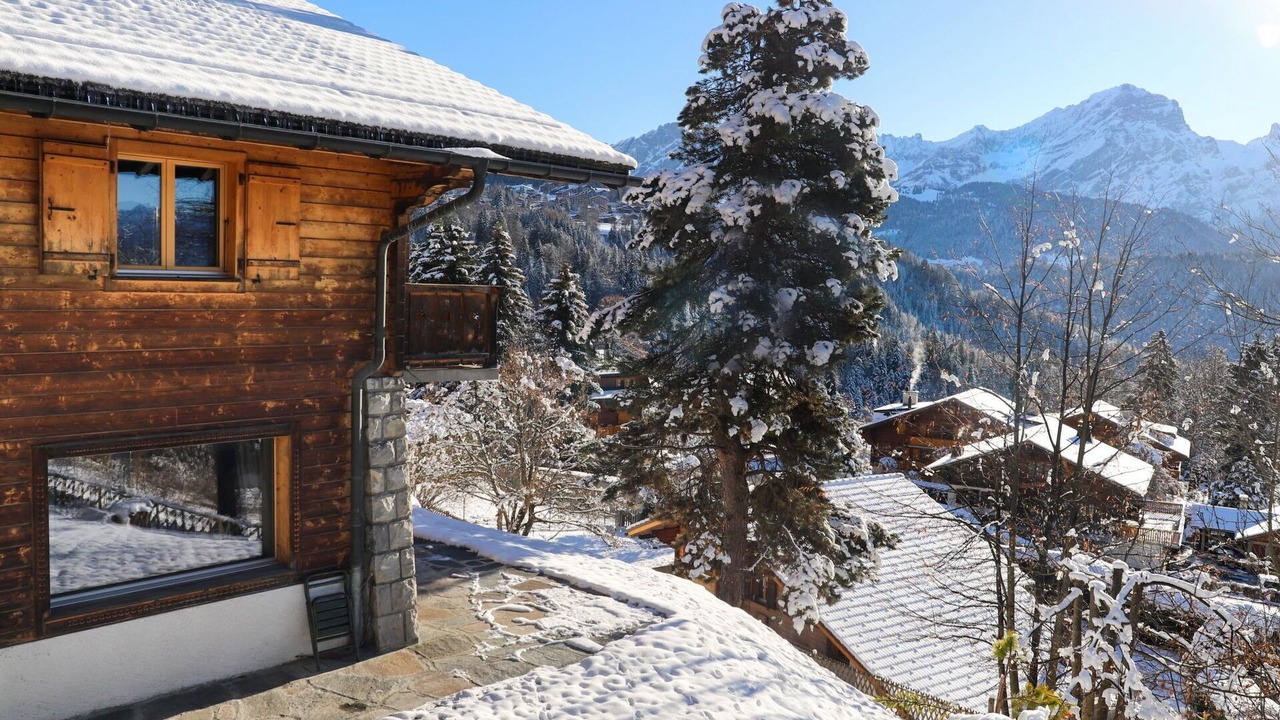 Photo of Outdoor in Chesieres