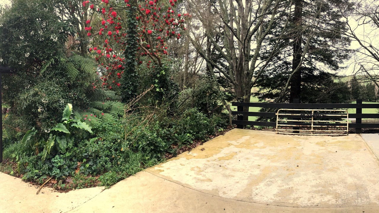 Photo of Outdoor in Rangiwahia