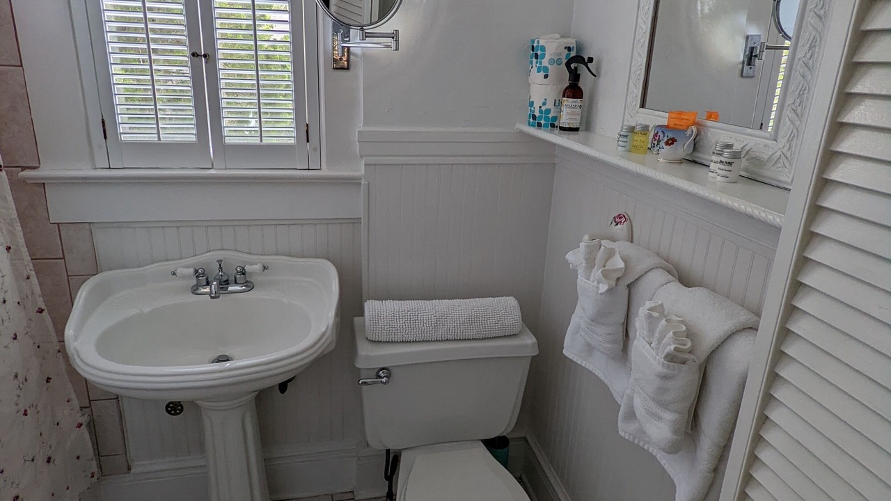 Photo of Bathroom in Downtown Historic District