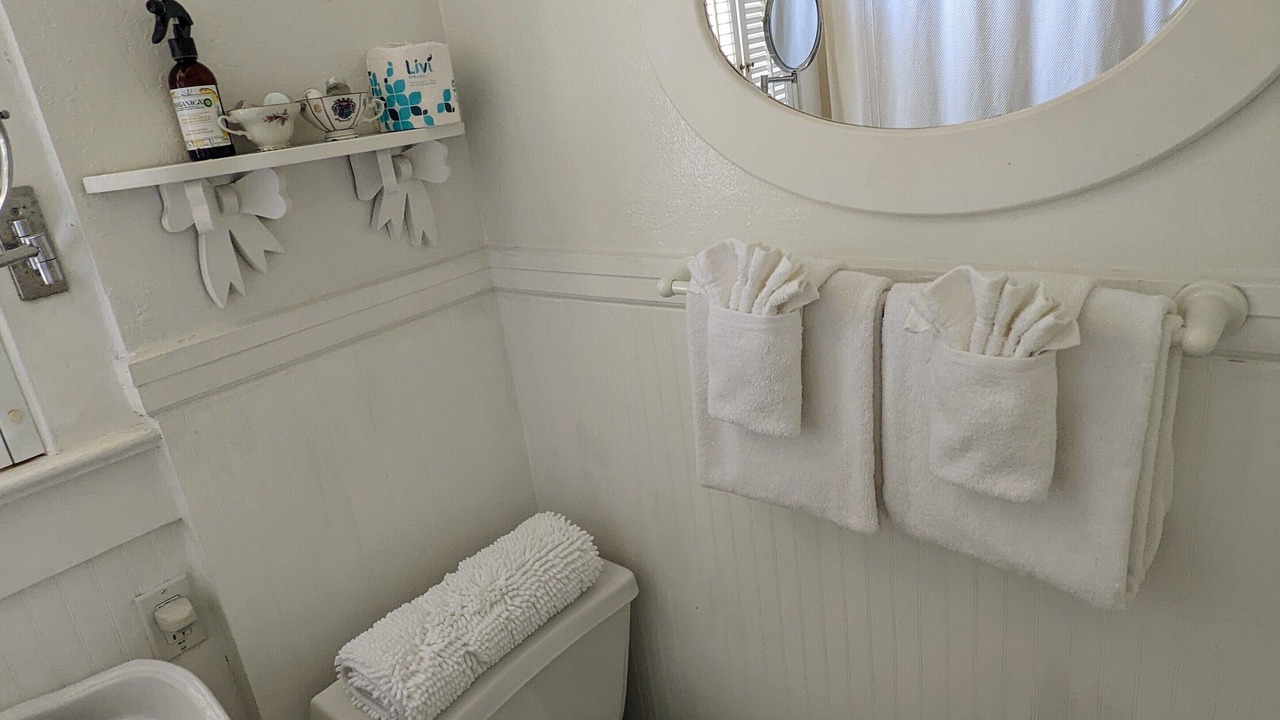 Photo of Bathroom in Downtown Historic District