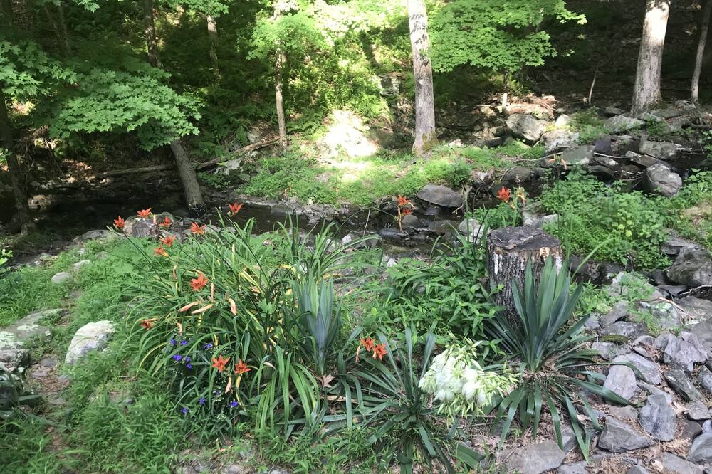 Photo of Outdoor in Bushkill