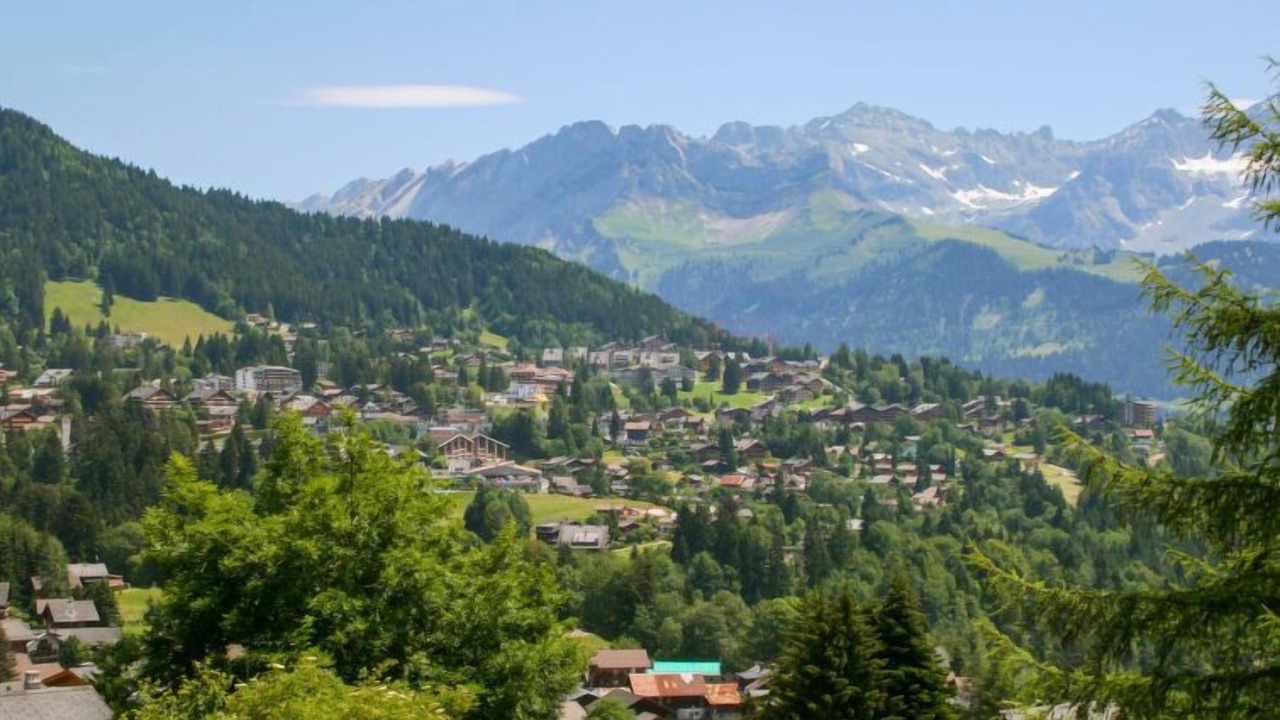 Photo of Outdoor in Chesieres