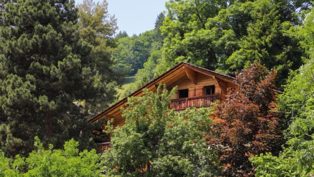 Photo of Outdoor in Chesieres