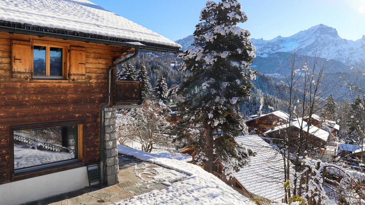 Photo of Outdoor in Chesieres