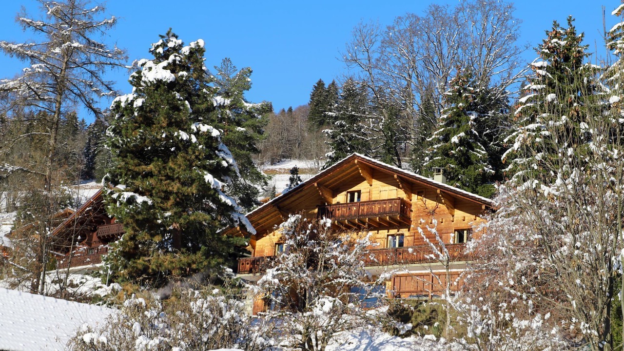 Photo of Outdoor in Chesieres