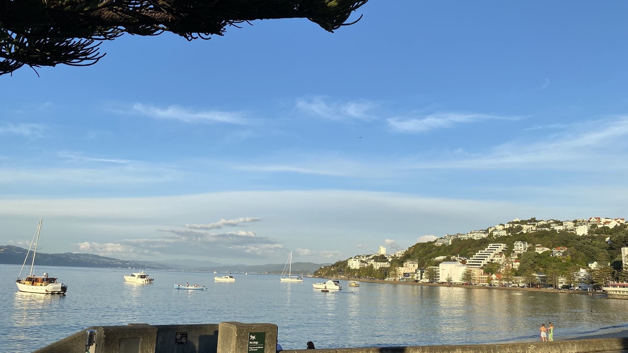 Photo of Outdoor in Oriental Bay