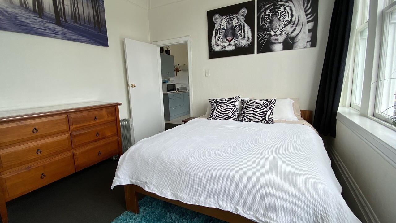 Photo of Others in Oriental Bay