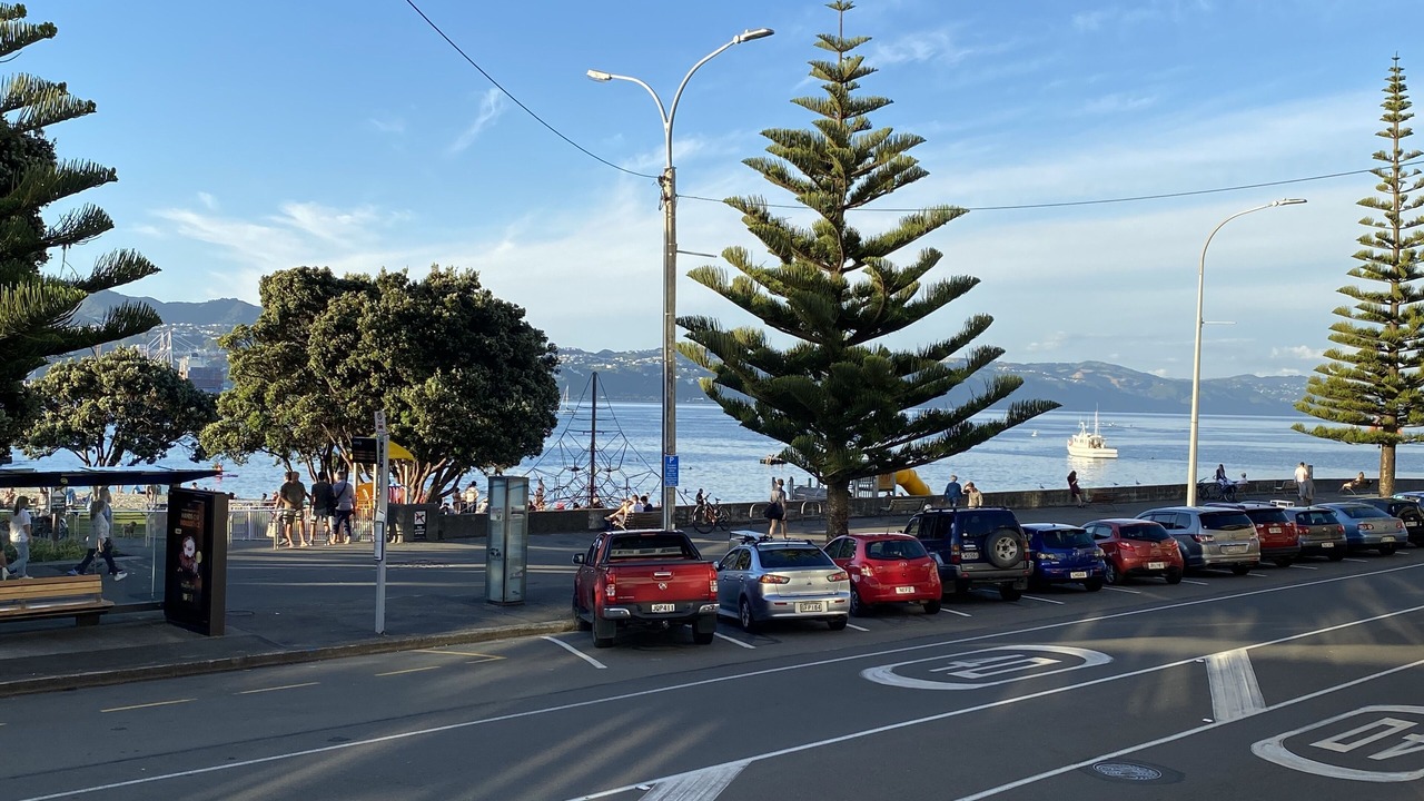 Photo of Others in Oriental Bay