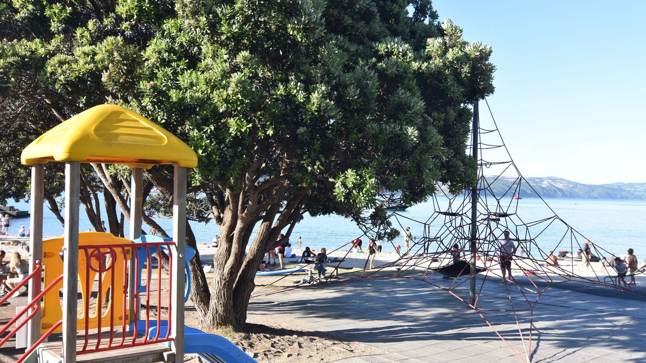 Photo of Outdoor in Oriental Bay