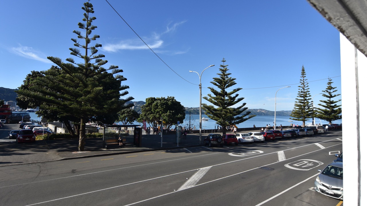 Photo of Others in Oriental Bay