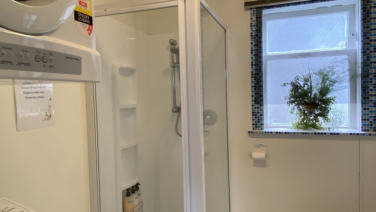 Photo of Others in Oriental Bay