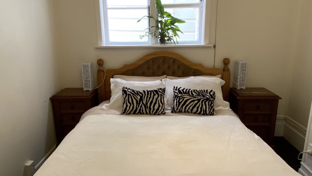 Photo of Others in Oriental Bay