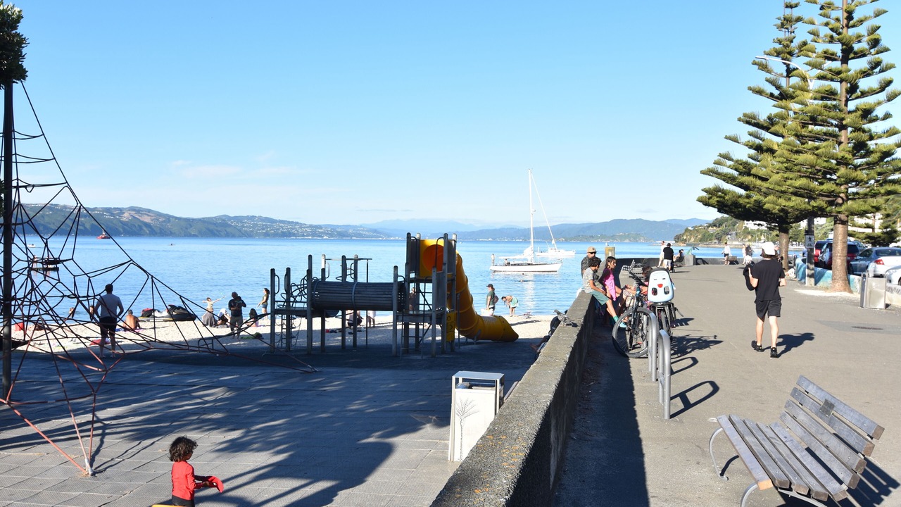 Photo of Others in Oriental Bay