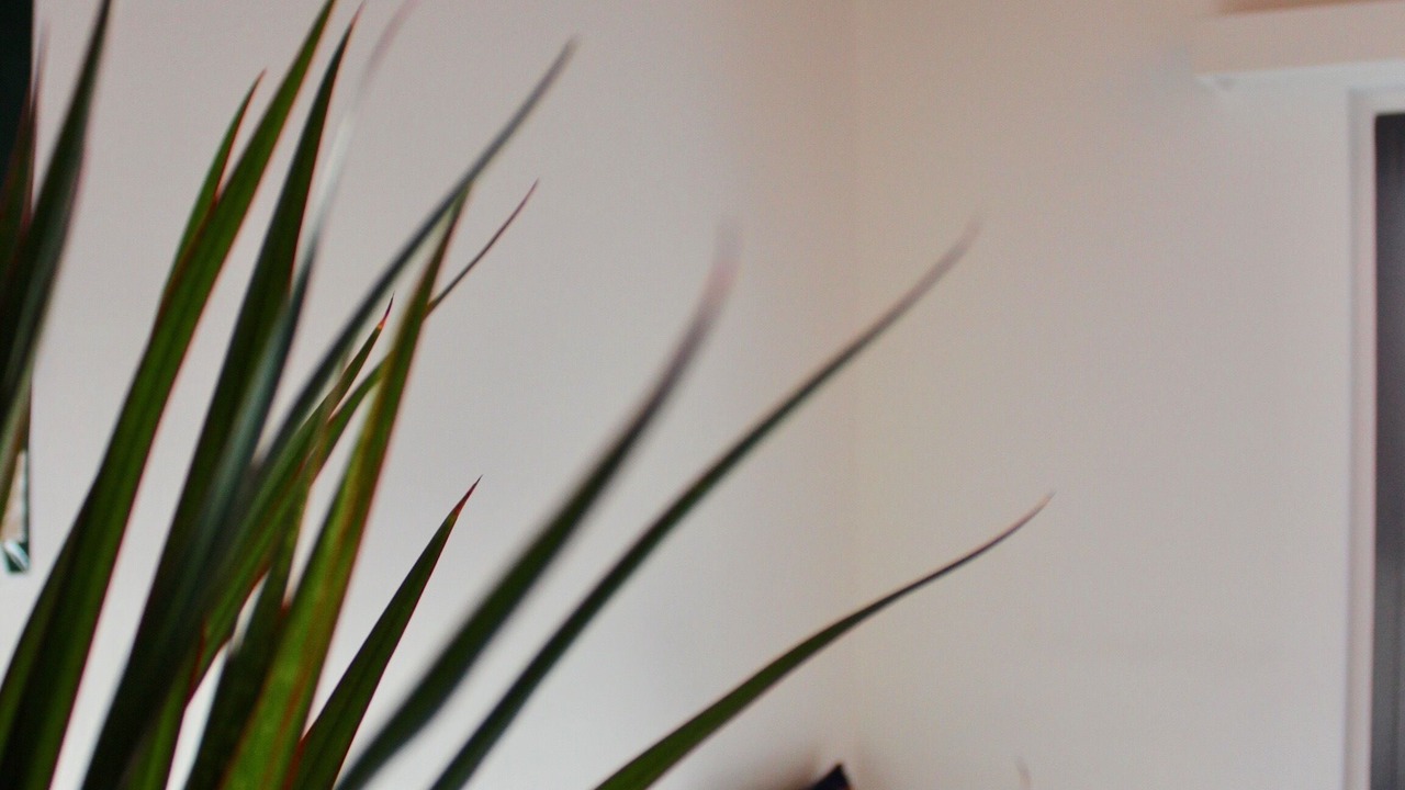 Photo of Others in Mergoscia