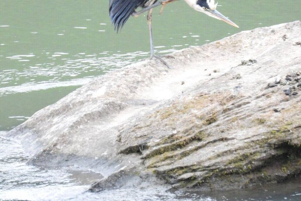 Photo of Others in Scottsburg