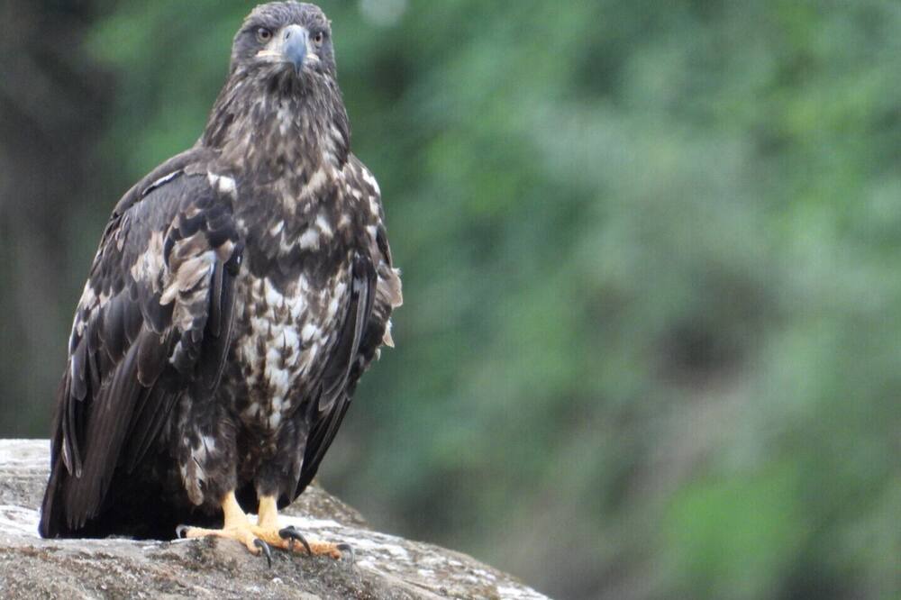 Photo of Others in Scottsburg