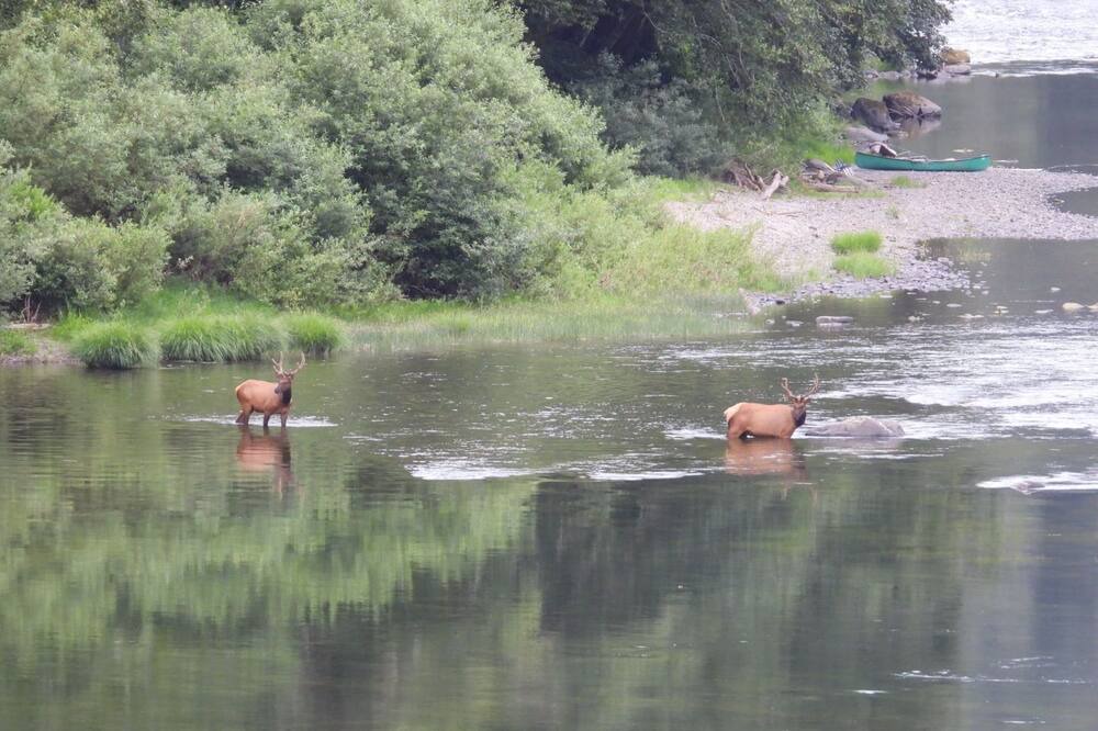 Photo of Others in Scottsburg