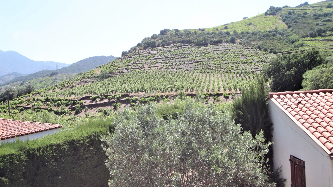 Photo of Others in Banyuls-sur-Mer