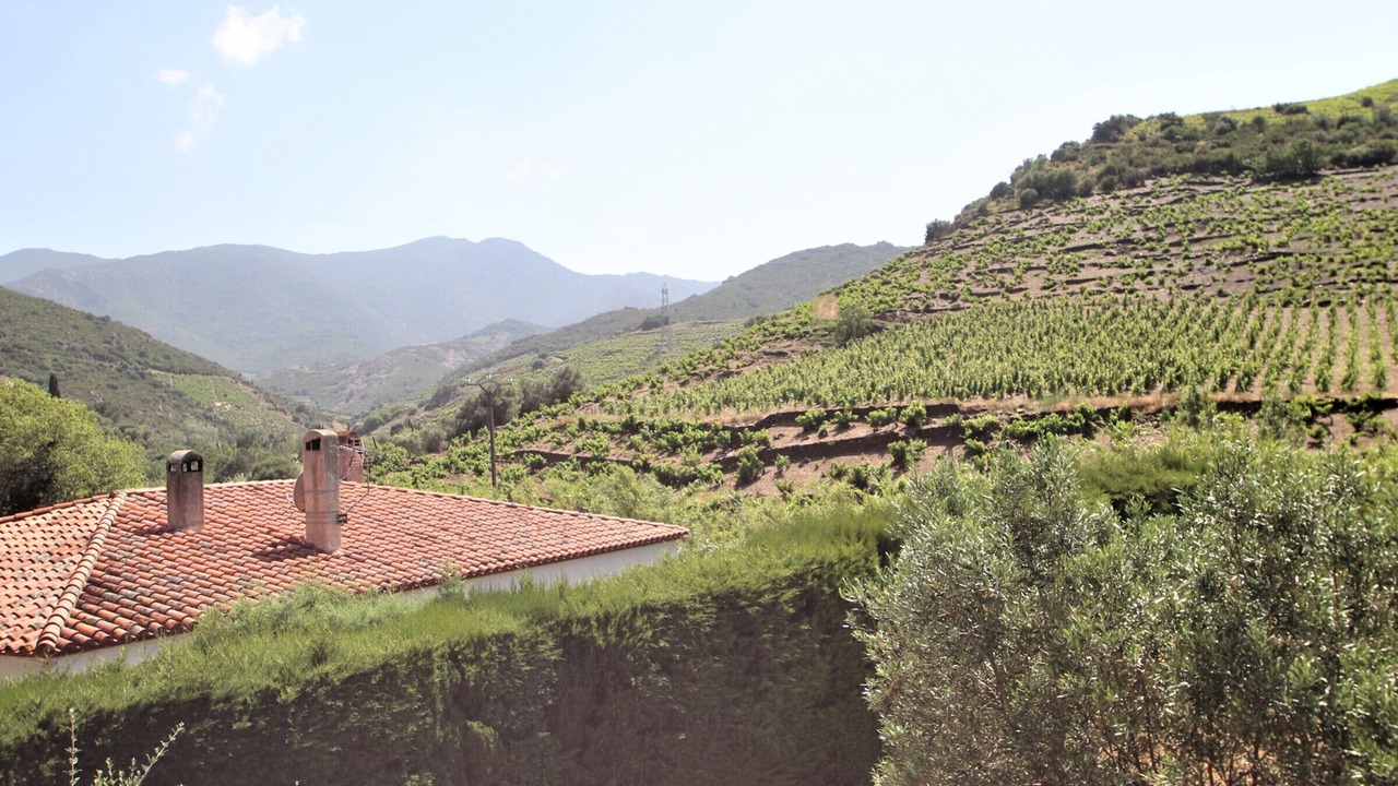 Photo of Others in Banyuls-sur-Mer