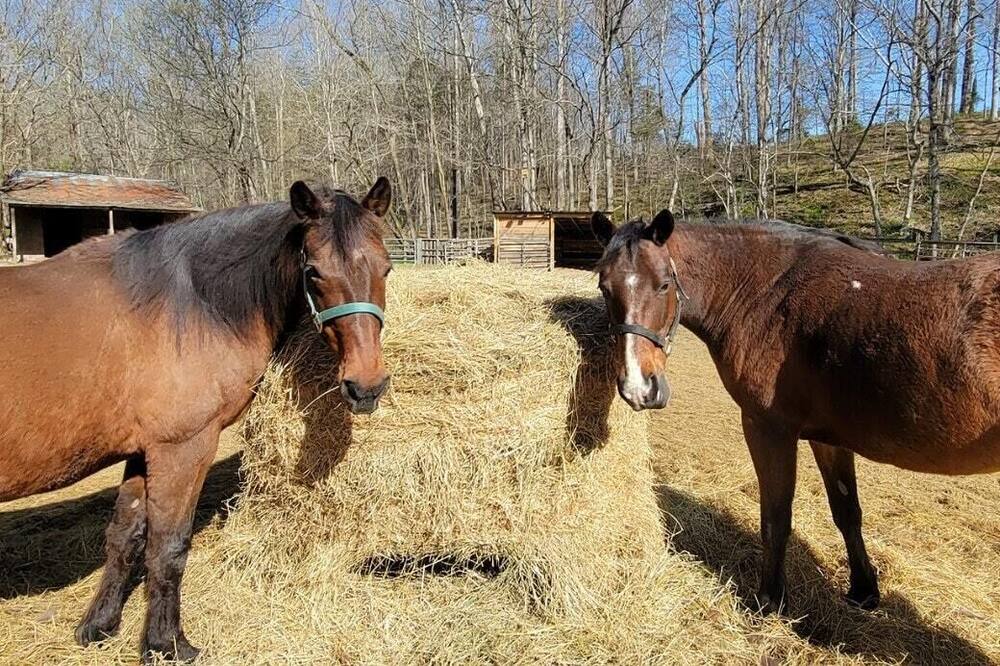 Photo of Others in Waynesboro