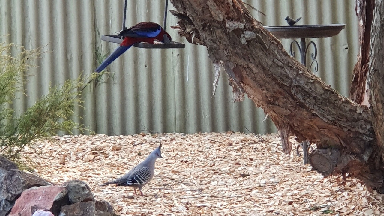 Photo of Outdoor in New Berrima