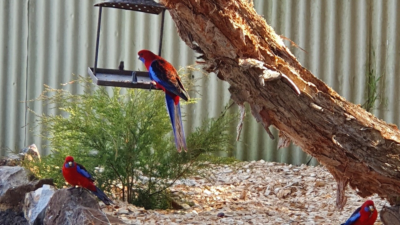Photo of Outdoor in New Berrima