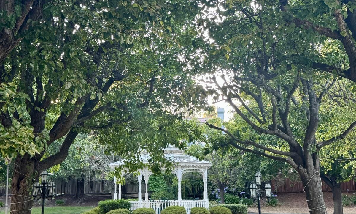 Photo of Outdoor in Salinas