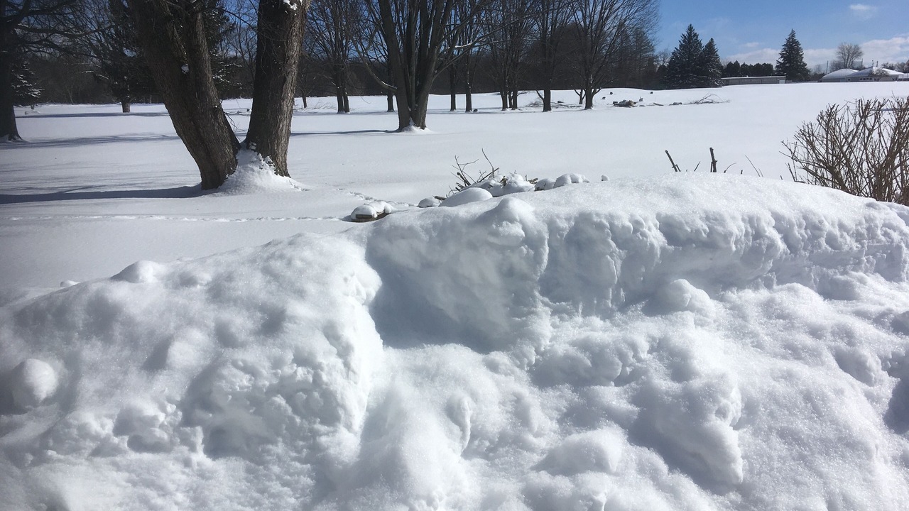Photo of Others in Penfield