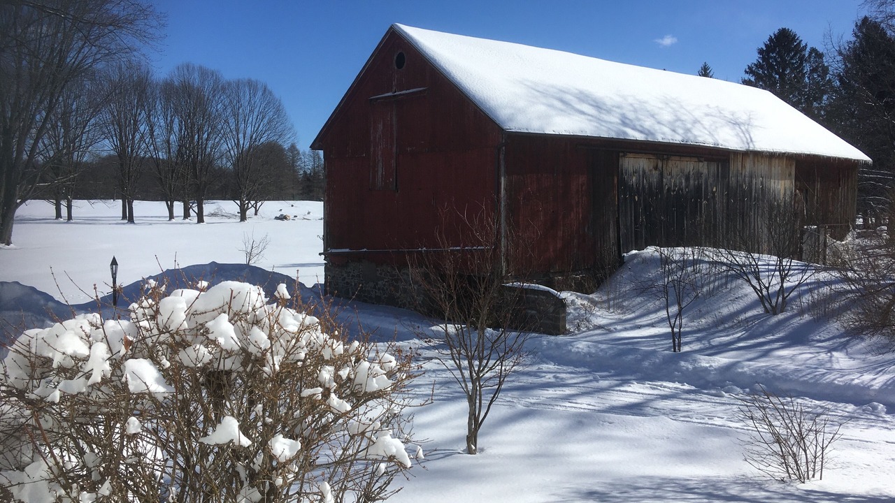 Photo of Outdoor in Penfield