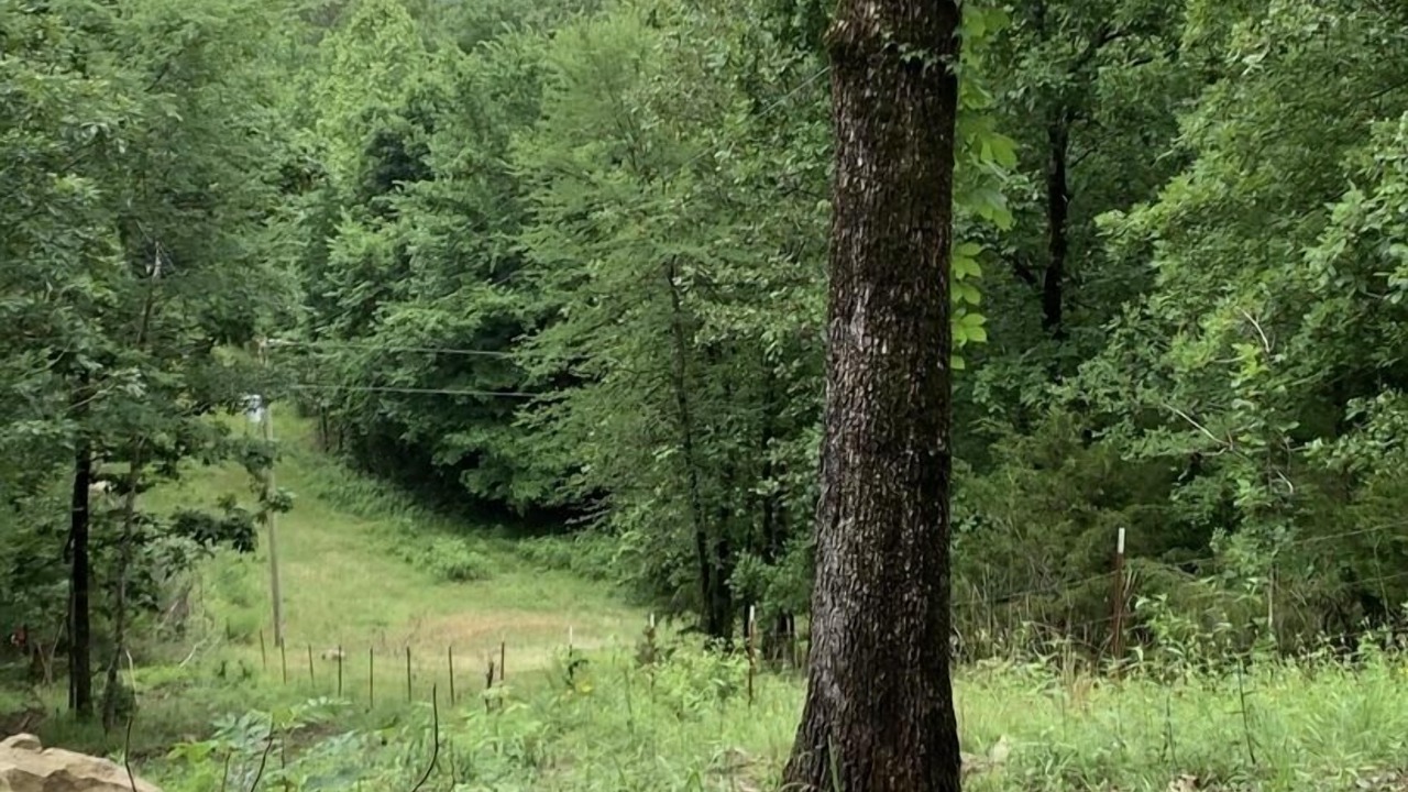 Photo of Outdoor in Hatton