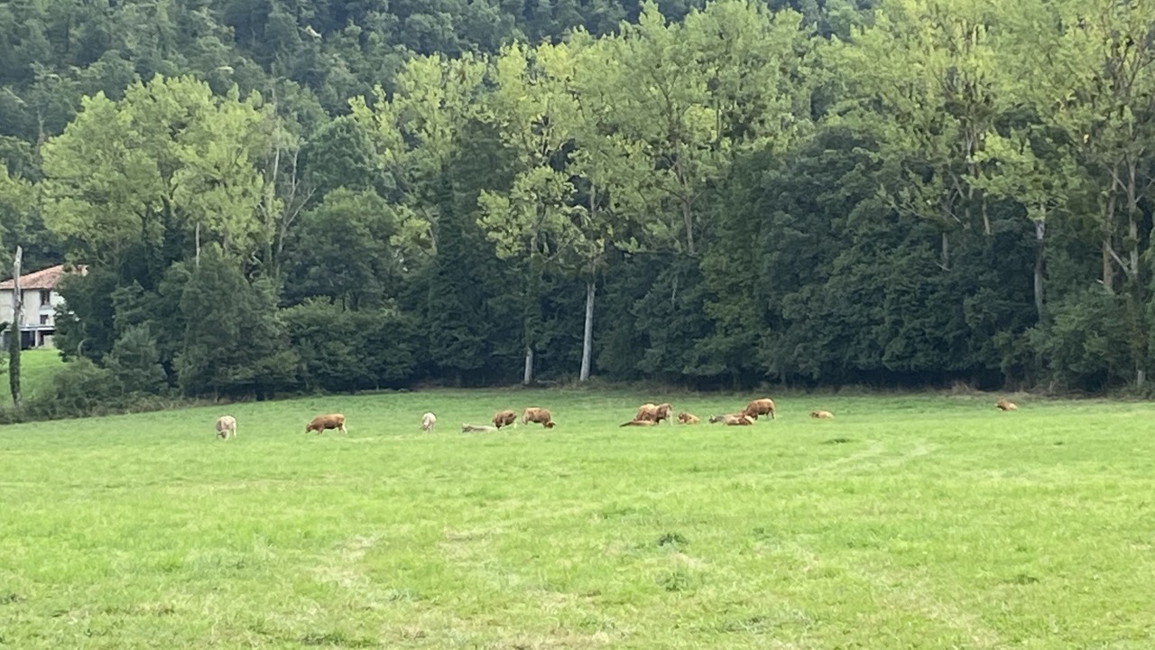 Photo of Others in Estadens