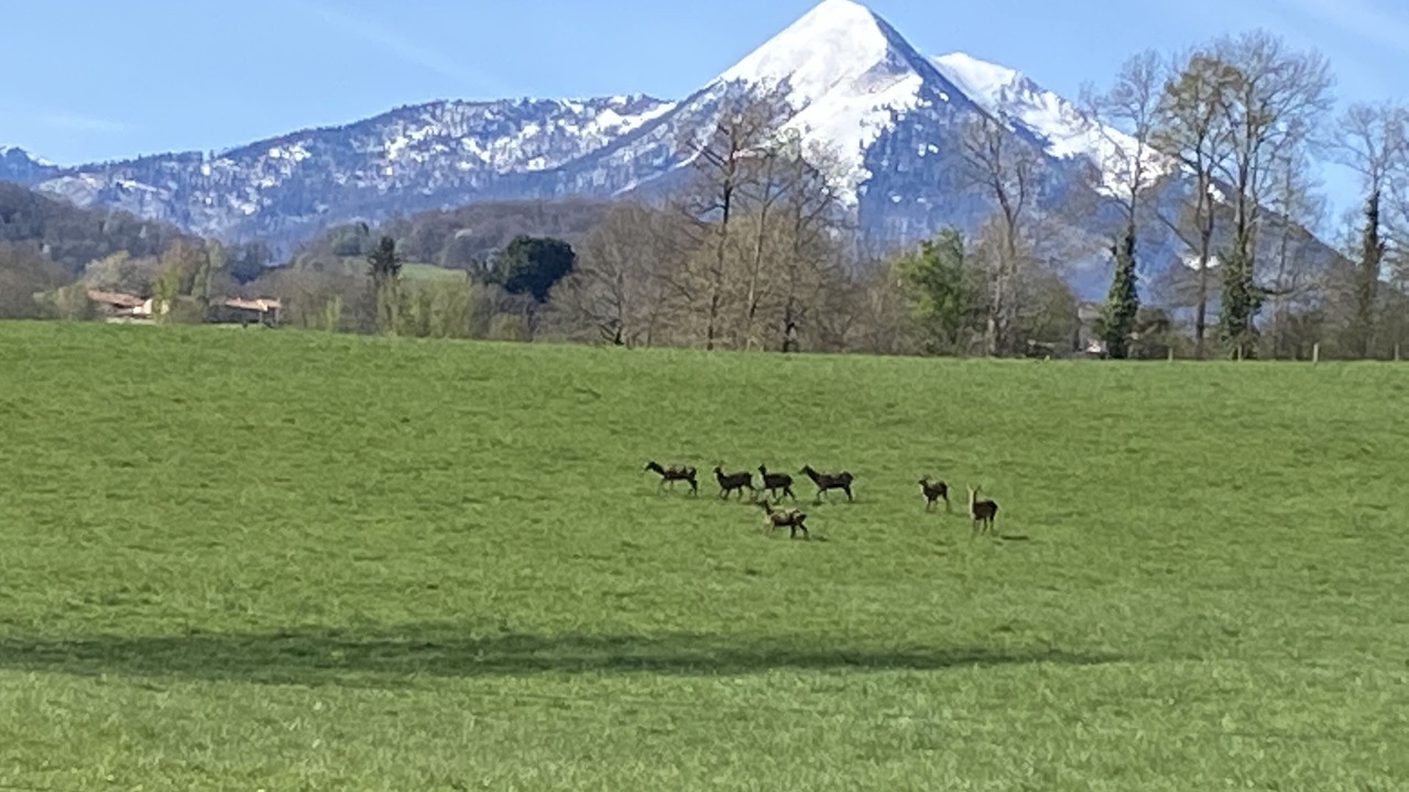 Photo of Others in Estadens