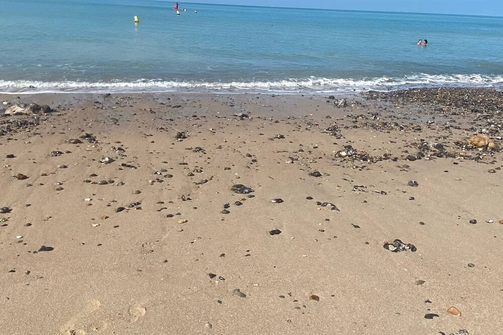 Photo of Others in Sainte-Marguerite-sur-Mer