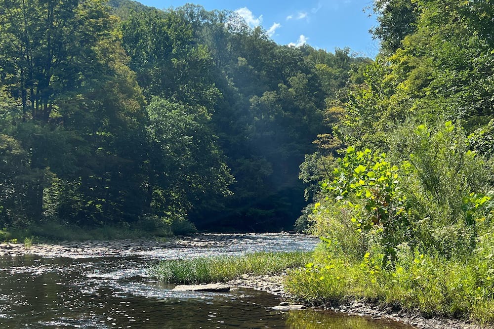 Photo of Others in Ligonier