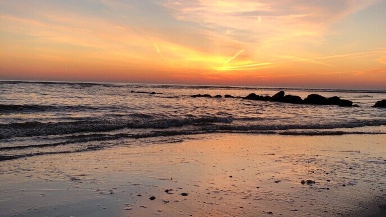Photo of Others in Berck-sur-Mer